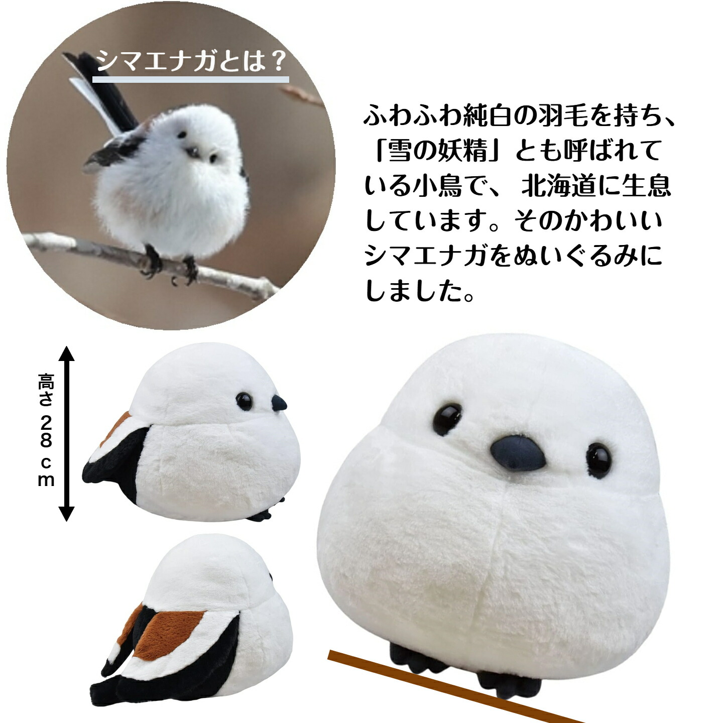 楽天市場】シマエナガ ぬいぐるみ BIGサイズ 28cm [ ふくふく