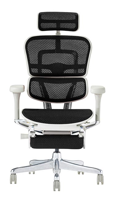 楽天市場】2025年新型 レビュー特典あり エルゴヒューマン プロ2