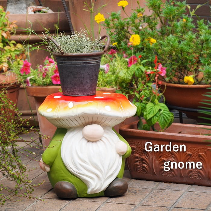 楽天市場】【あす楽】 ノーム きのこ 置物 【ガーデンノーム KINOKO