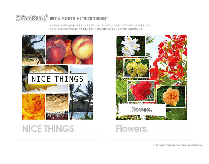 楽天市場】アイキャンリード I Can Read! 【児童英語研究所 正規販売店