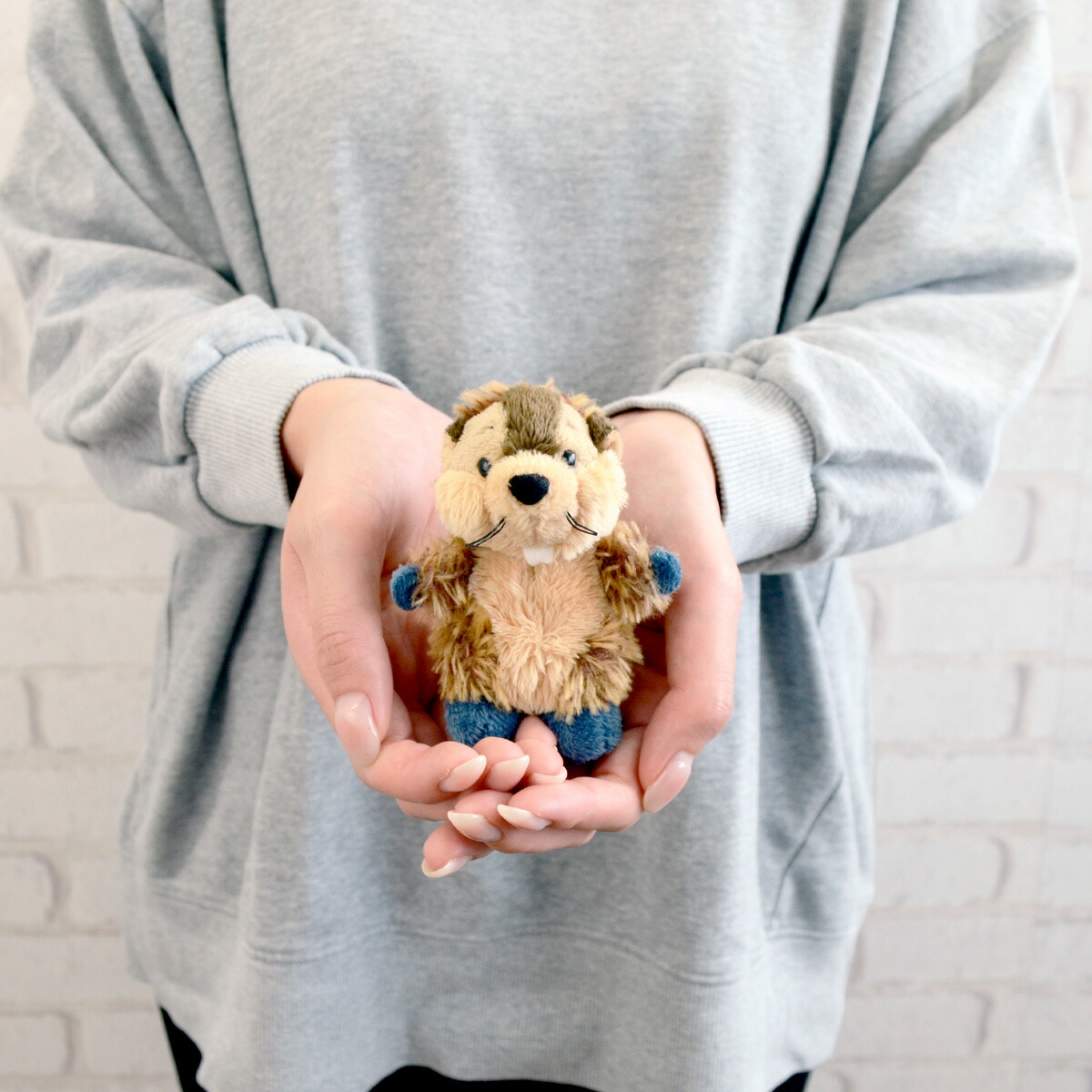 楽天市場】【日本正規代理店】NICI(ニキ) キーホルダー FF25 ビーバー