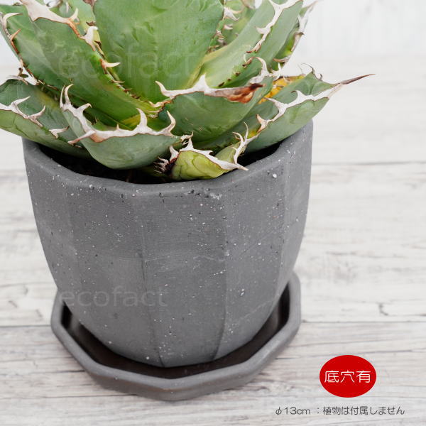 楽天市場】陶器鉢 植木鉢 ミニポット 底穴あり 皿付 粗目十角 黒 φ13cm