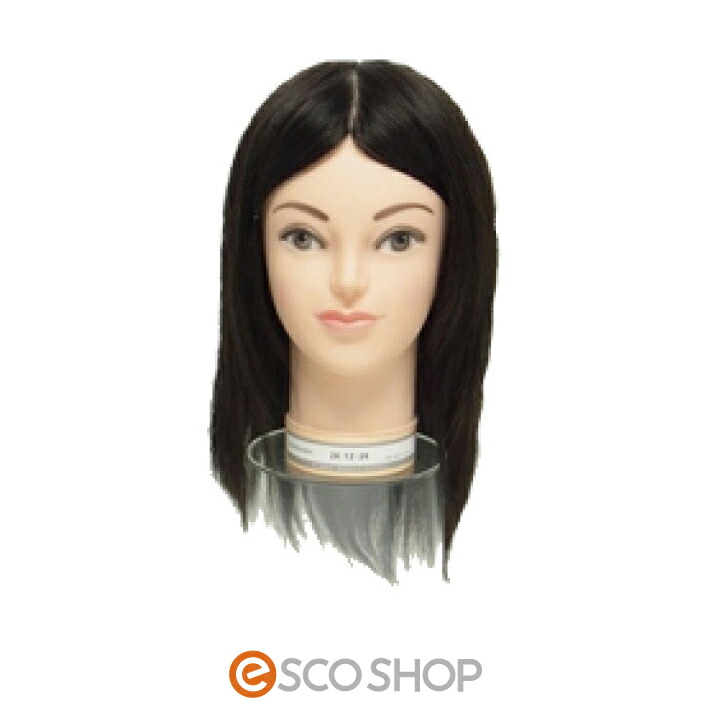 楽天市場】カットウィッグ 国家試験用 24-12-24 （人毛100％） 送料