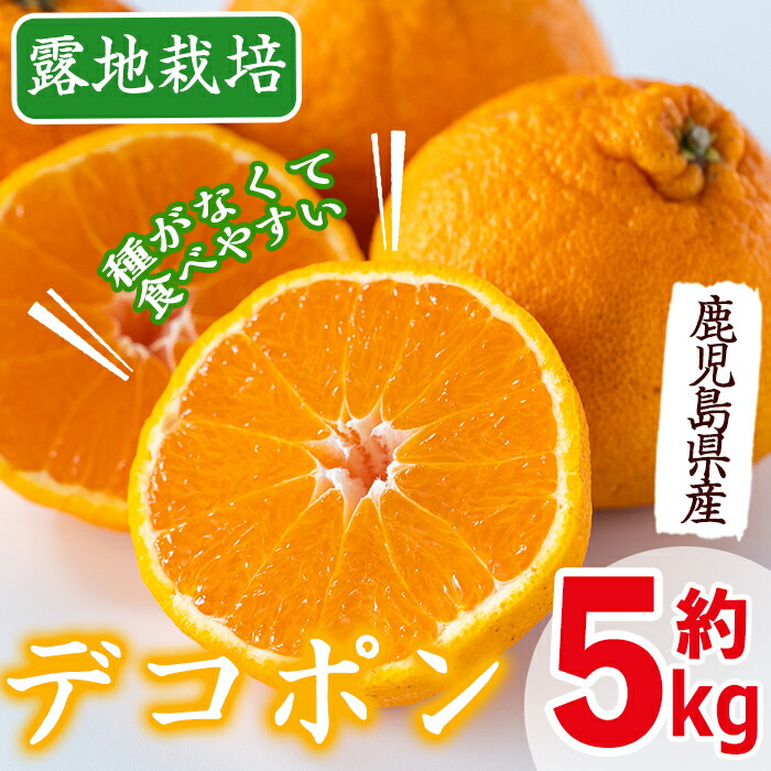 楽天市場】デコポン（その他｜フルーツ・果物）：食品の通販