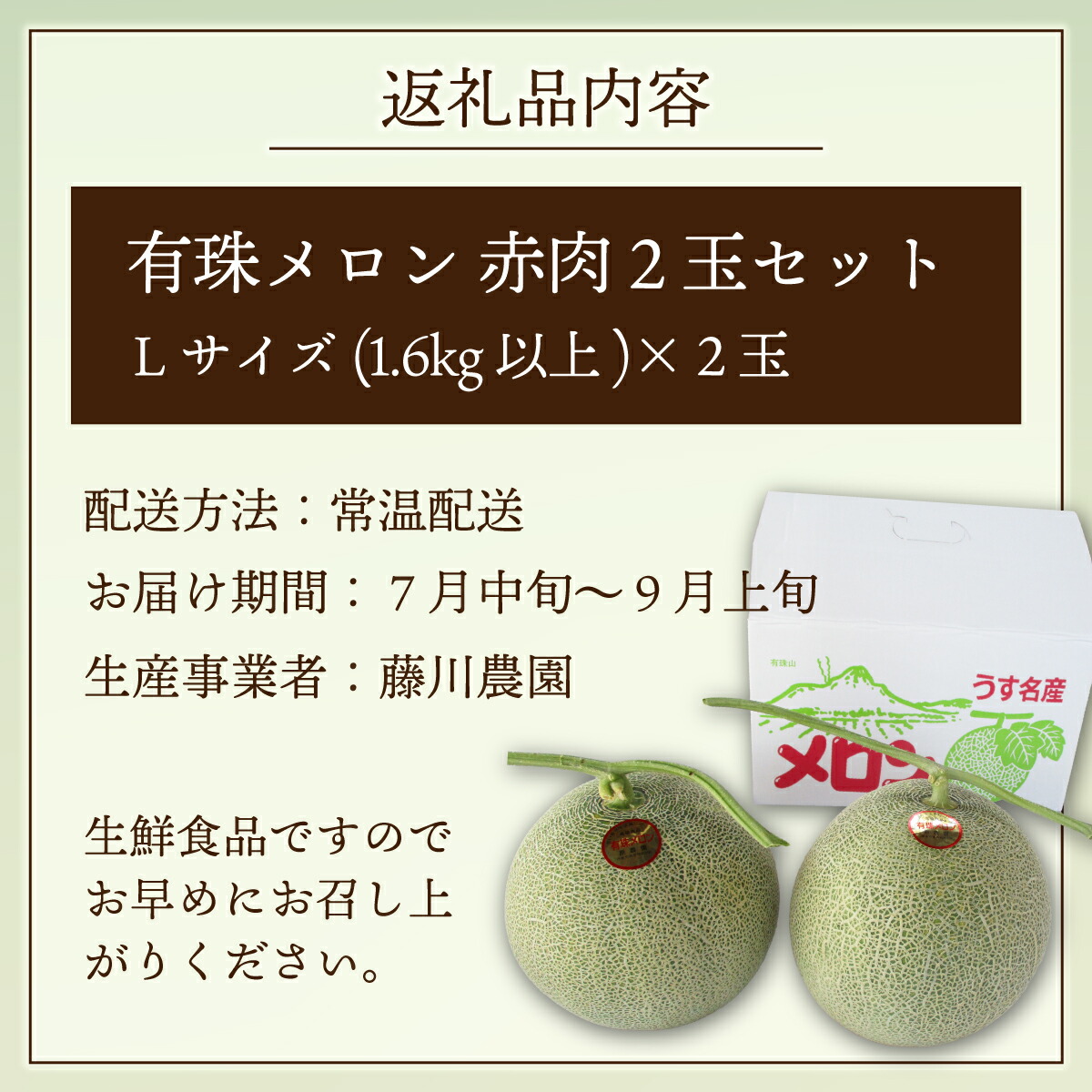 楽天市場】【ふるさと納税】【2026年先行予約】北海道産 有珠メロン 2