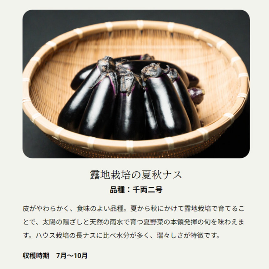 楽天市場】【ふるさと納税】ナスの収穫体験チケット2名様｜ 野菜 ナス