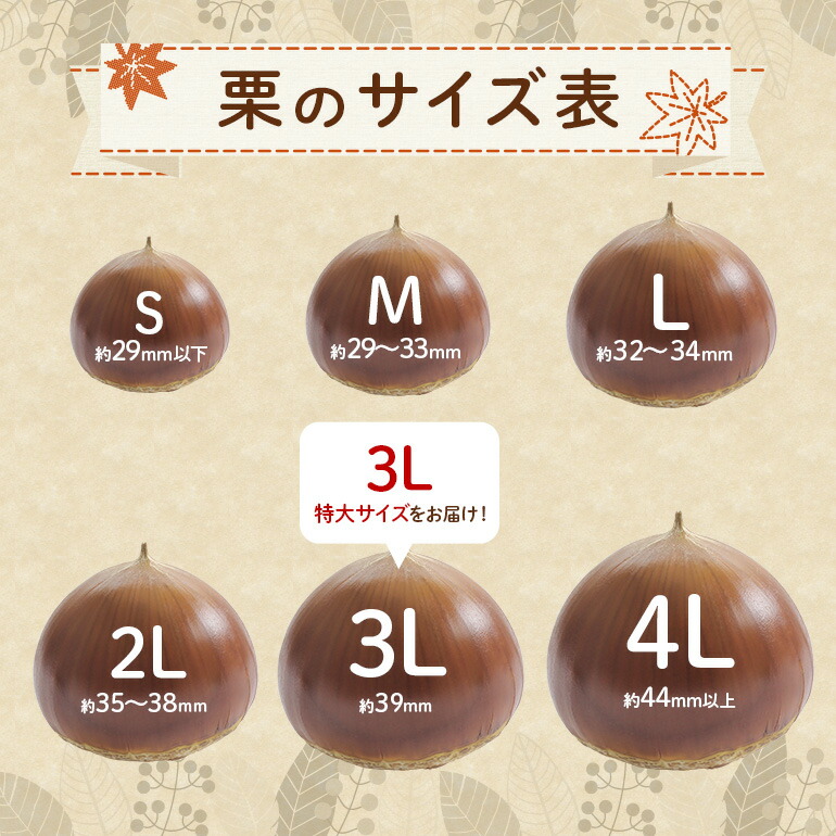 楽天市場】【ふるさと納税】【先行受付】入 やなわぁ工房の生栗 3L 約