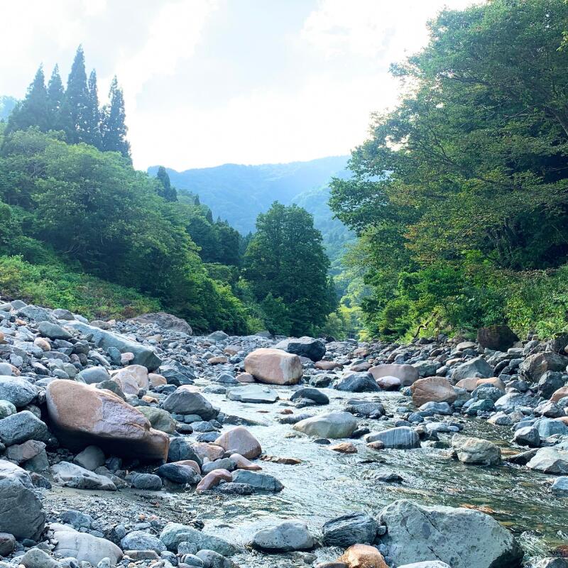 楽天市場】【ふるさと納税】【数量限定】糸魚川産ひすい勾玉（小） 桐