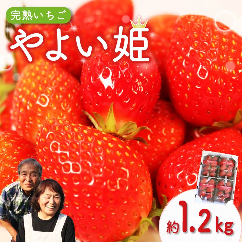 楽天市場】【ふるさと納税】 やよい姫 約1.2kg 300g×4パック いちご