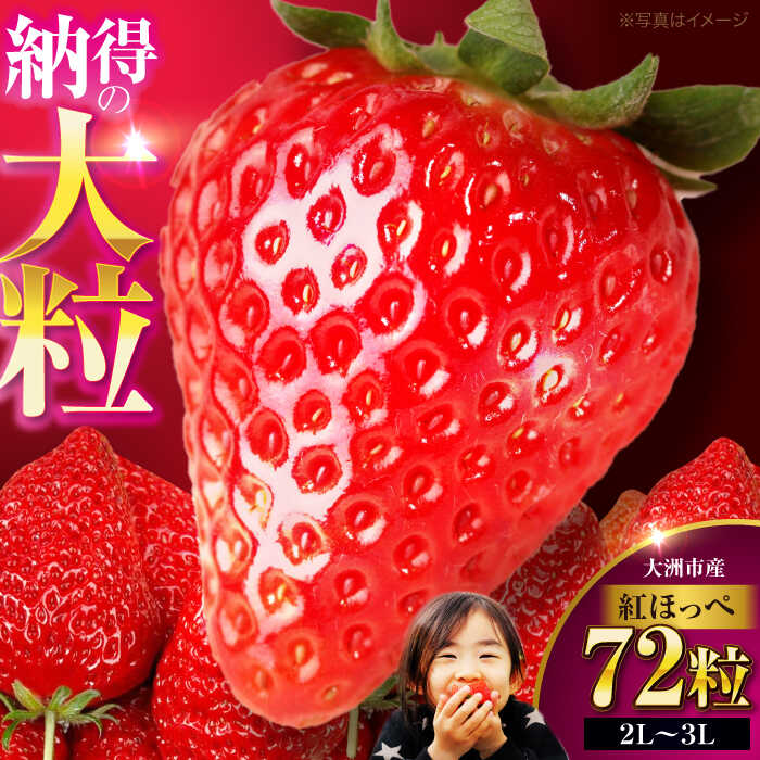 楽天市場】【ふるさと納税】いちご 【先行予約】【2026年1月上旬〜から