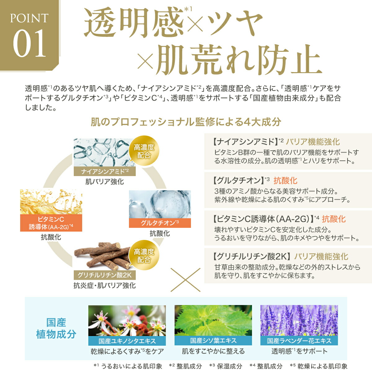 楽天市場】FTC ザ・ブライトチャージ ローション 100ml 君島十和子