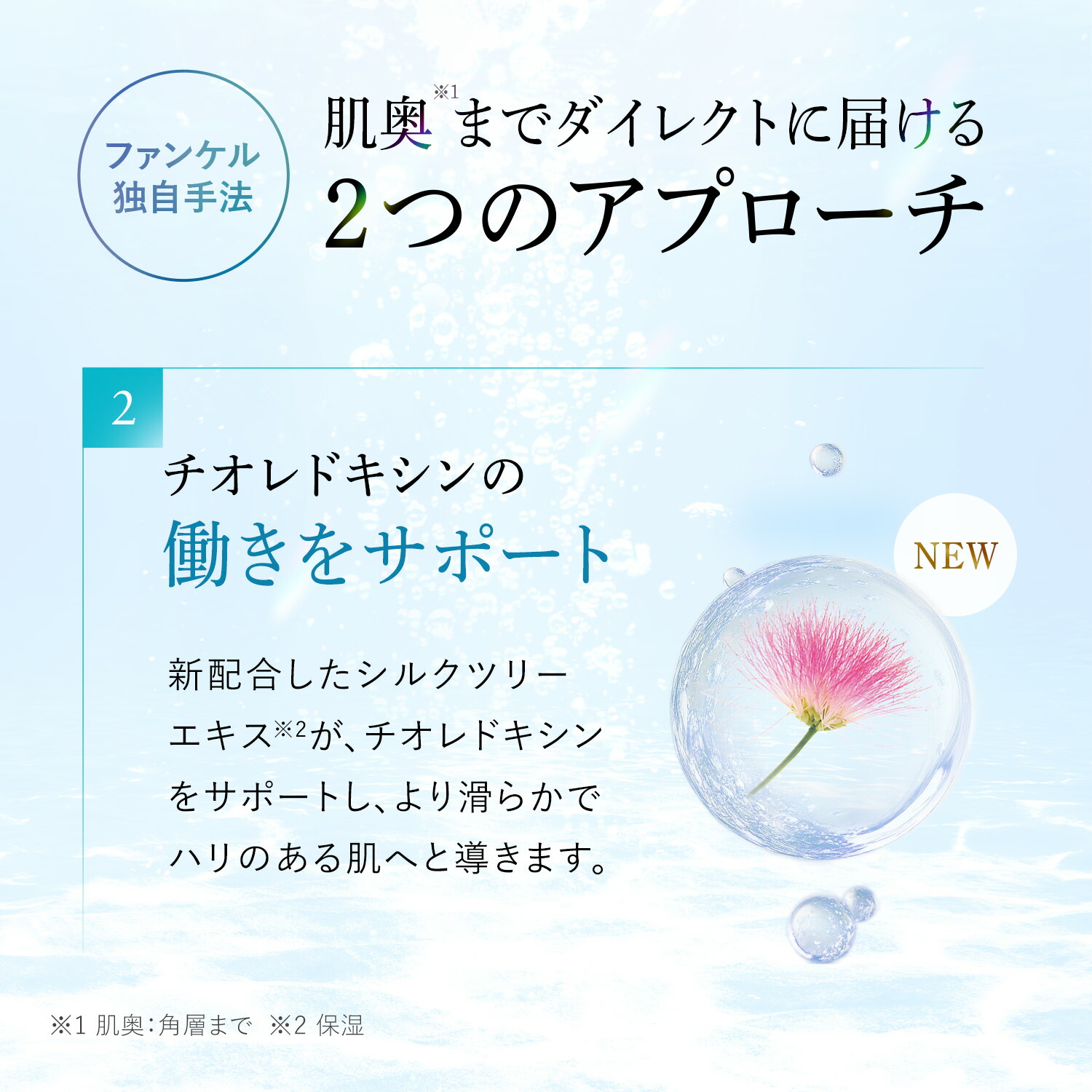 楽天市場】【ポイント5倍 3/4(水) 20:00〜3/11(水) 1:59まで】コア