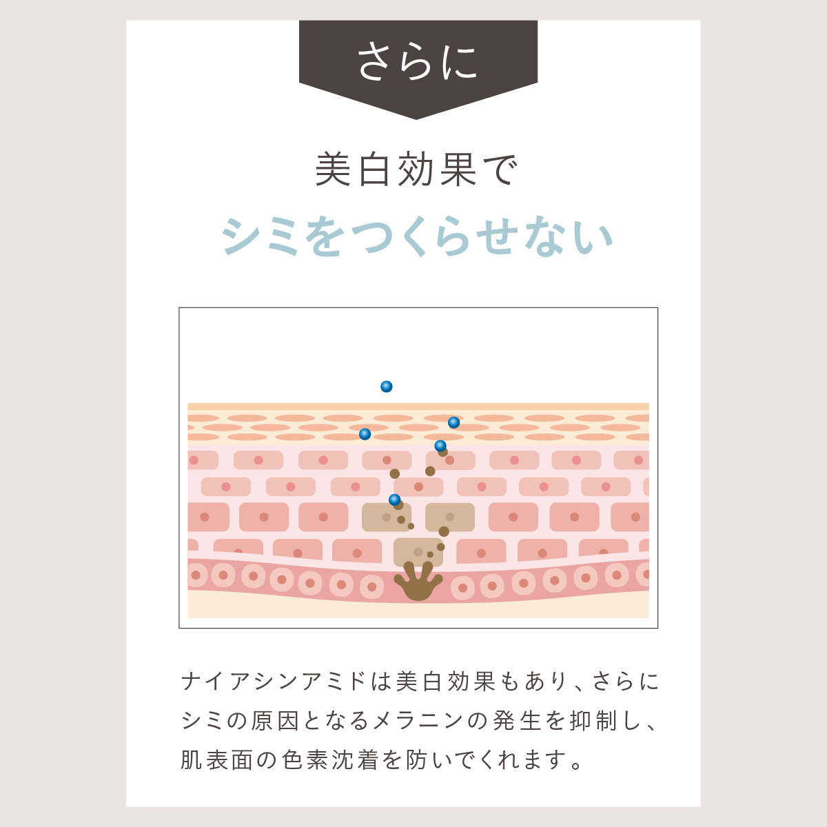 楽天市場】【 ギフトボックス 入り 】 シロジャム ハンド美容液 ギフト