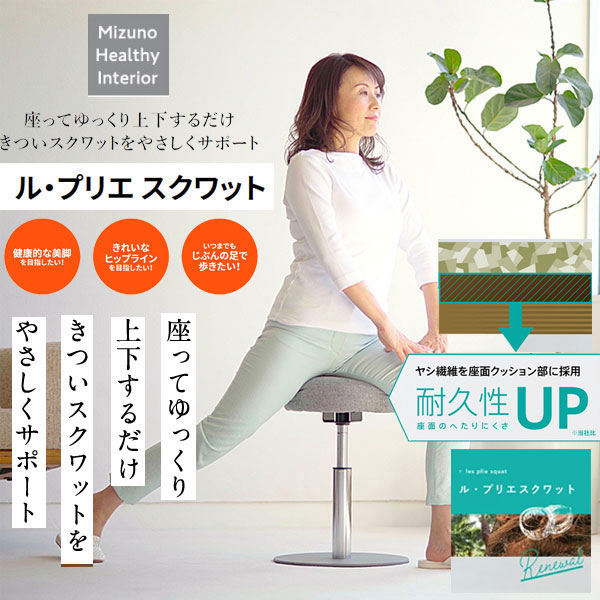 フィットネス ダイエット ル プリエスクワット」の人気商品一覧 | 安い