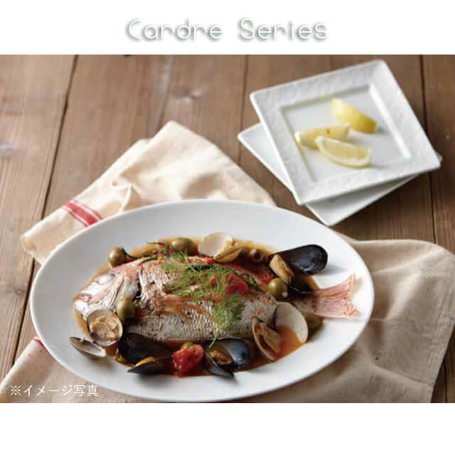 楽天市場】プラター17cm 6枚セット カードル Cardre 白磁 深山陶器