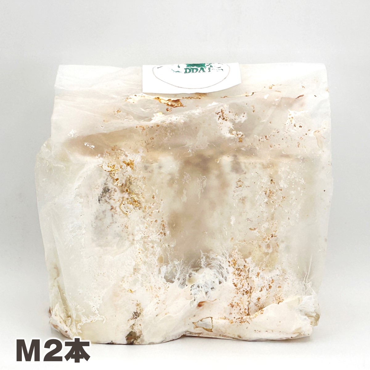 楽天市場】【DDA】植菌レイシ材 L1～SS5本 加水不要 dda クワガタ 産卵