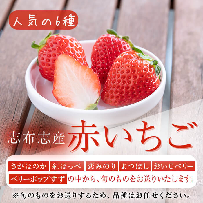 楽天市場】【ふるさと納税】【セット内容と内容量が選べる！】【数量