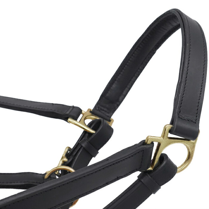 楽天市場】【送料無料】レザーホルター 本革無口 HPX2 （ブラック）COB