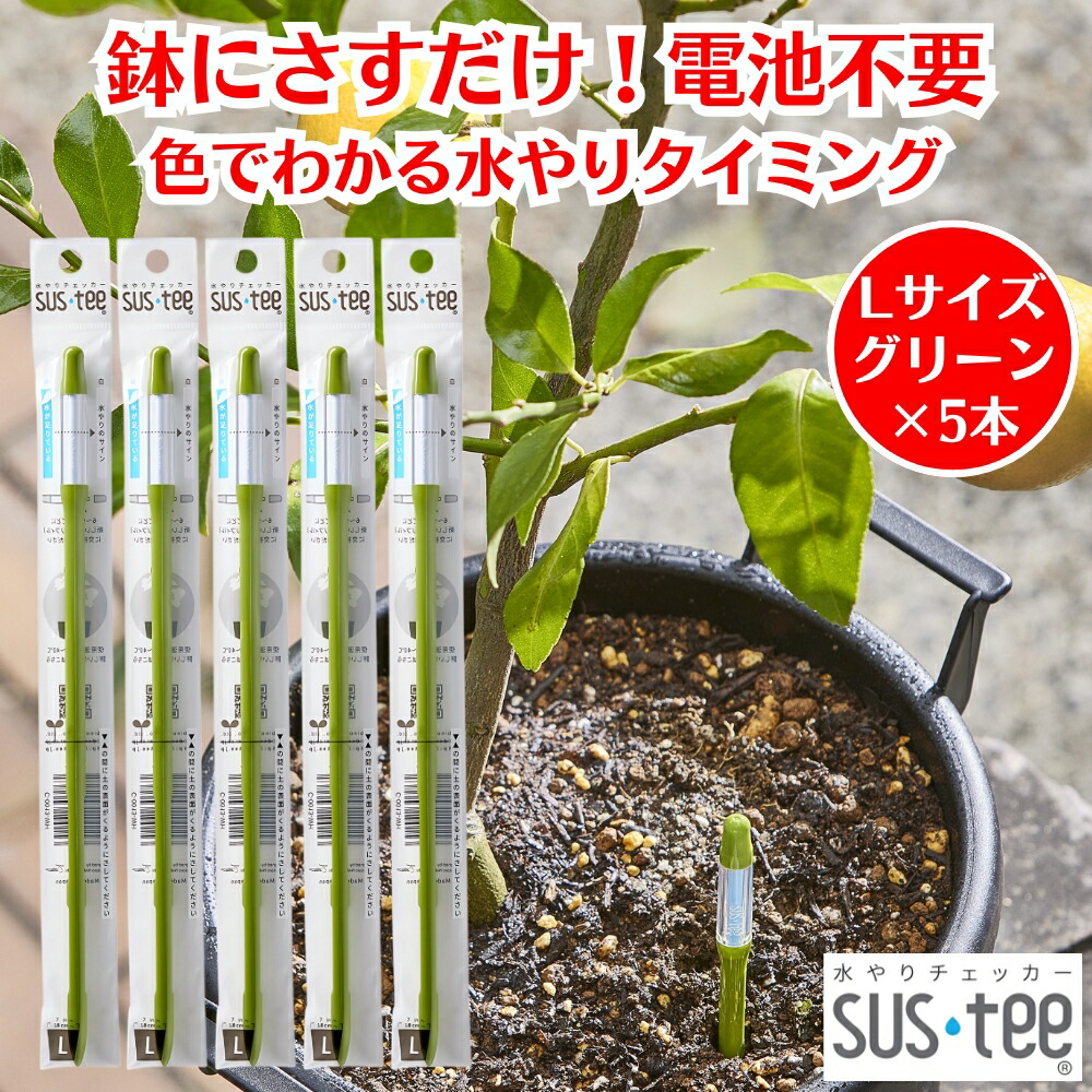 楽天市場】水やりチェッカー サスティー SUStee Lサイズ グリーン 5本