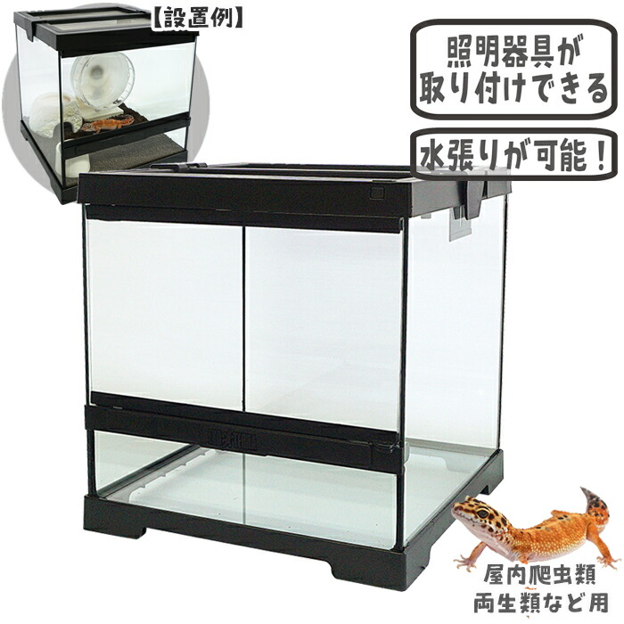 爬虫類 3030 飼育ケース グラステラリウム」の人気商品一覧 | 安い商品