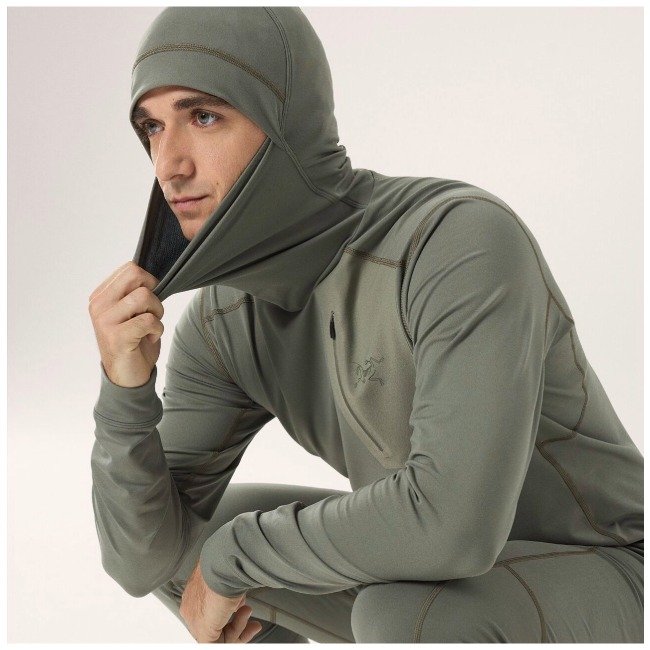 楽天市場】アークテリクス ARC'TERYX ロー LT フーディ メンズ Rho LT