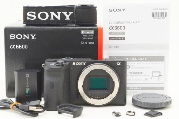 楽天市場】sony α6600 ミラーレスの通販