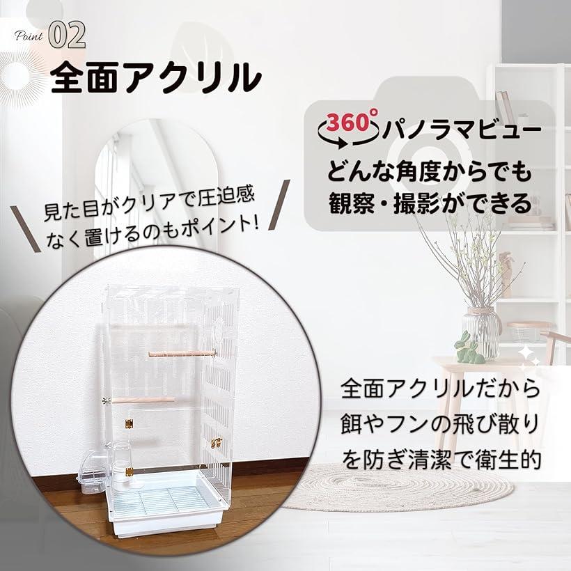 楽天市場】【楽天ランキング1位入賞】フクロモモンガ 360度見渡せる