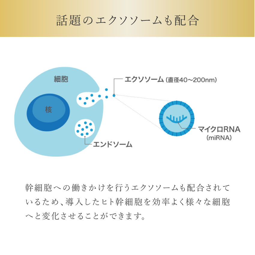 楽天市場】エクソソーム配合 ヒト幹細胞配合【ヒトユライトライアル