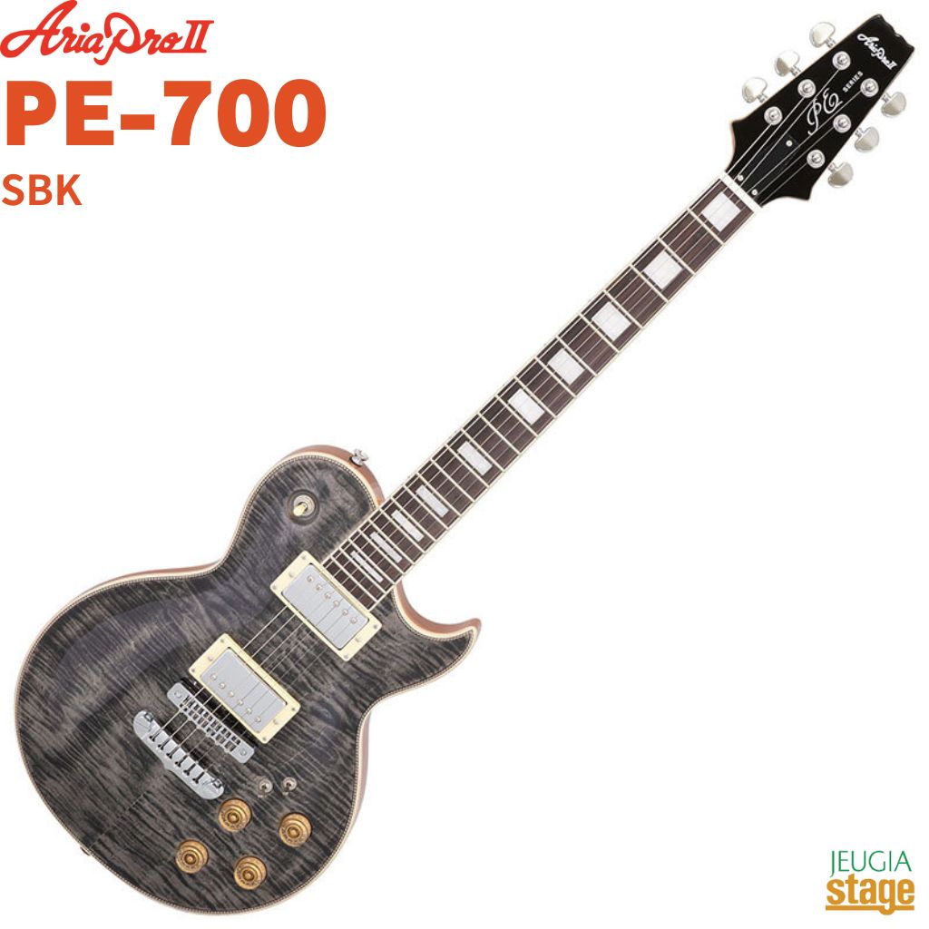 アリアプロ2 エレキギター pe」の人気商品一覧 | 安い商品を通販サイト