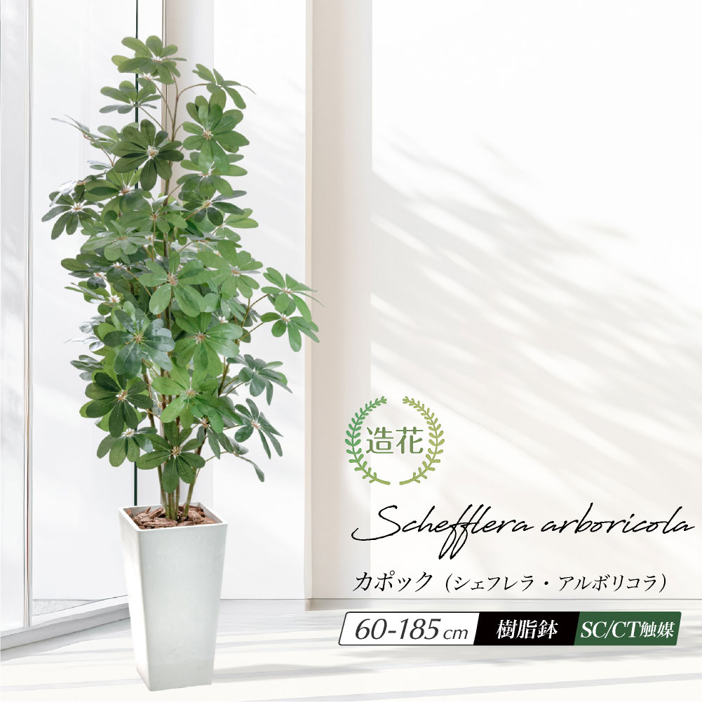 楽天市場】フェイクグリーン 60センチの通販