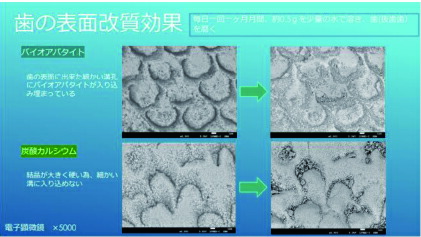 楽天市場】【お得5個セット】 卵殻アパタイト45 ＜粉末歯磨き粉＞ 25g
