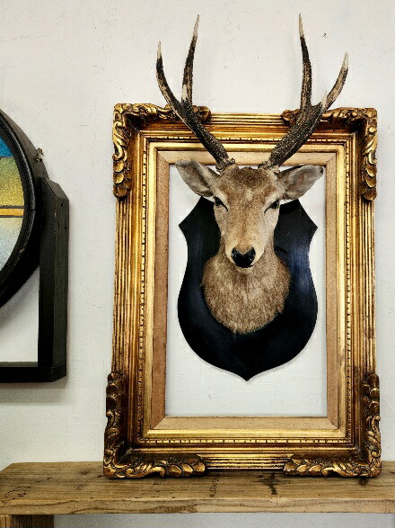 楽天市場】ハンティングトロフィー 鹿 オブジェ 壁掛け 剥製 シカ 狩猟