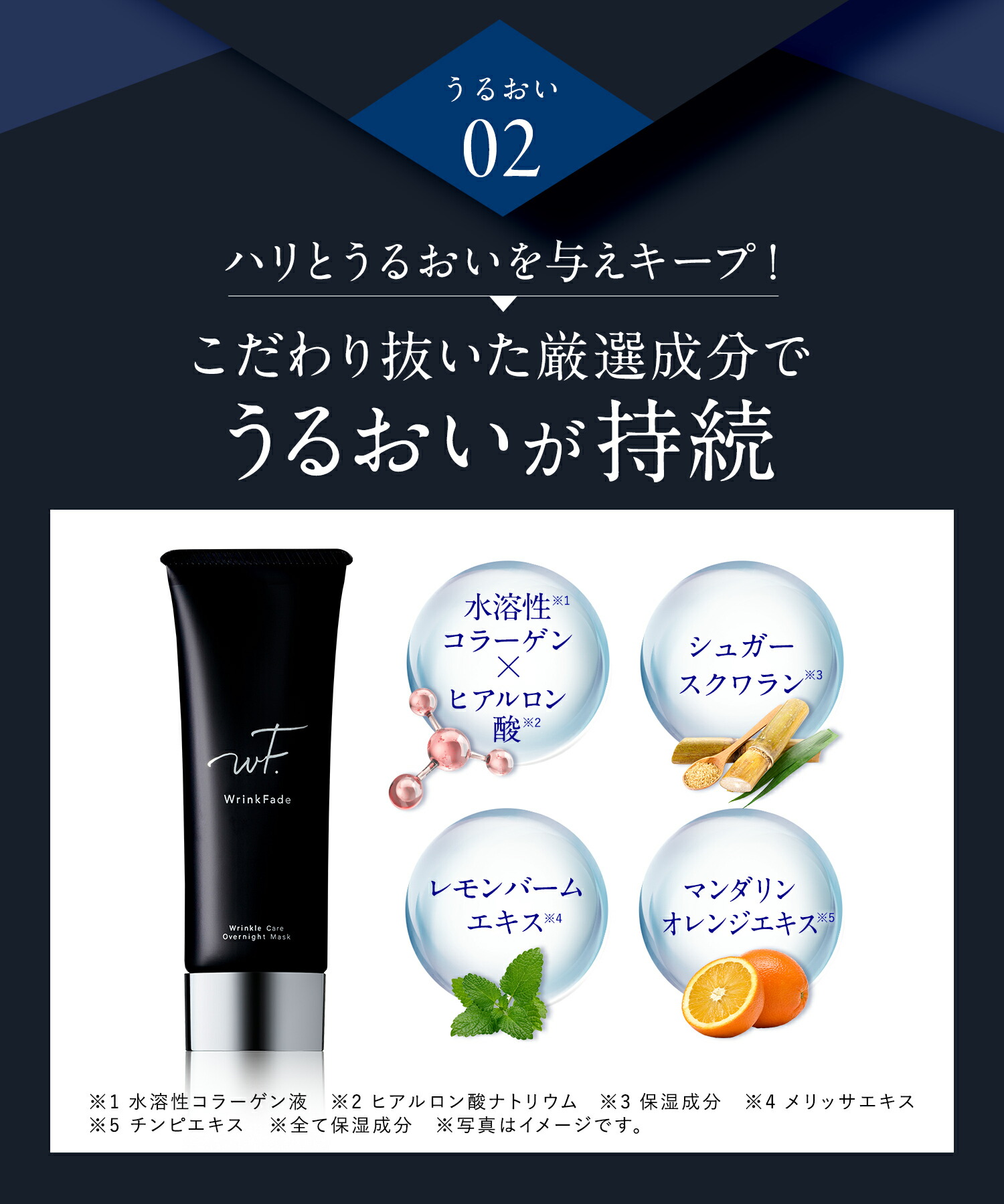 楽天市場】3/4 15時〜≪おトクなクーポン対象≫ 《公式店
