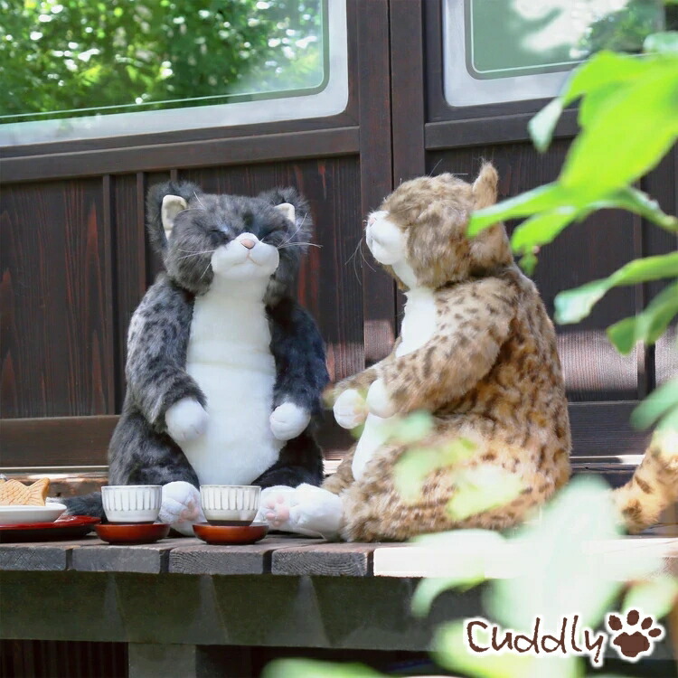楽天市場】ぬいぐるみ 猫 茶トラ【ピンカートン】cuddly カドリー ね