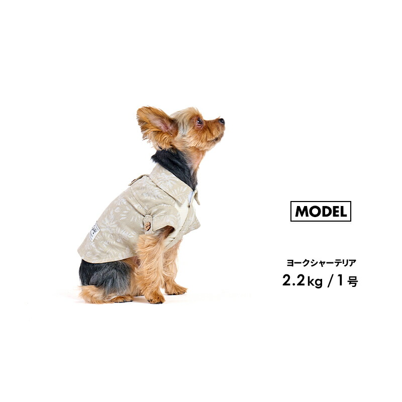 楽天市場】【リゾートアロハ1-5号2L-3L】ドッグウェア シャツ 袖 小型