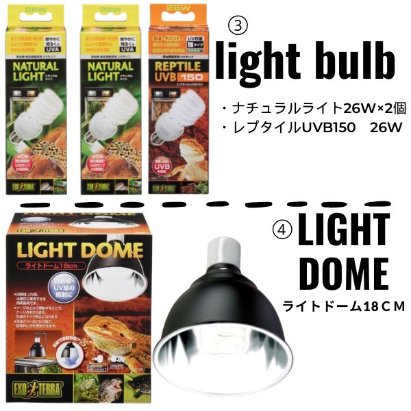 楽天市場】【初心者向け】フトアゴヒゲトカゲ＆リクガメ飼育セットA