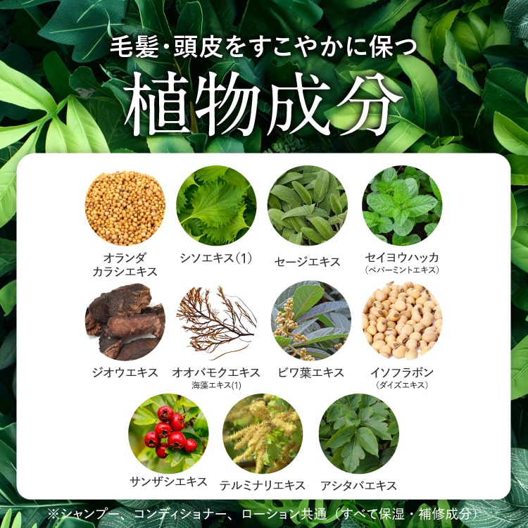 楽天市場】ハーグ ( HARG ) 薬用HGドクターズヘアケアシリーズ HG MD