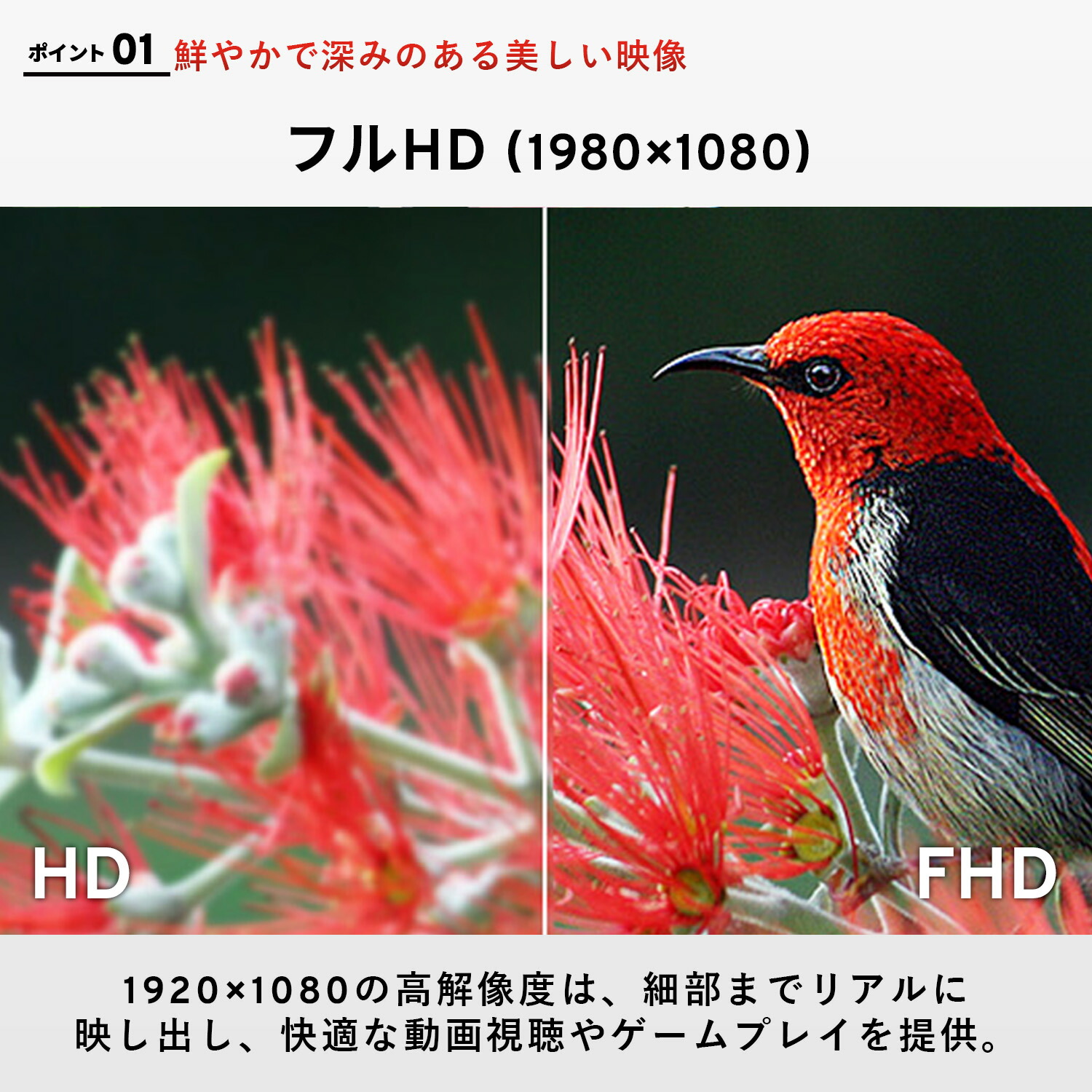 楽天市場】Pixio ポータブルモニター PX160 Wave モバイルモニター