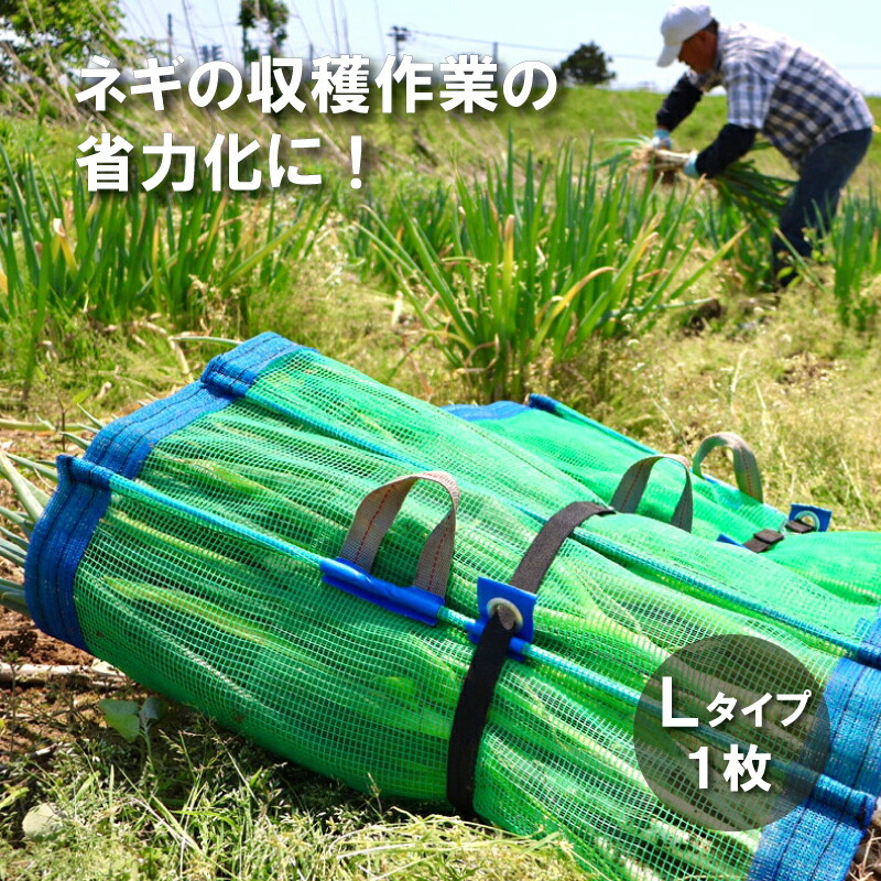 楽天市場】【3/31までエントリーで最大100%Pバック】1枚 ネギマキ