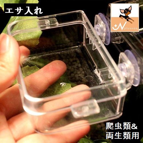 楽天市場】送料無料 エサ入れ 餌入れ 水入れ 爬虫類用 両生類用 吸盤