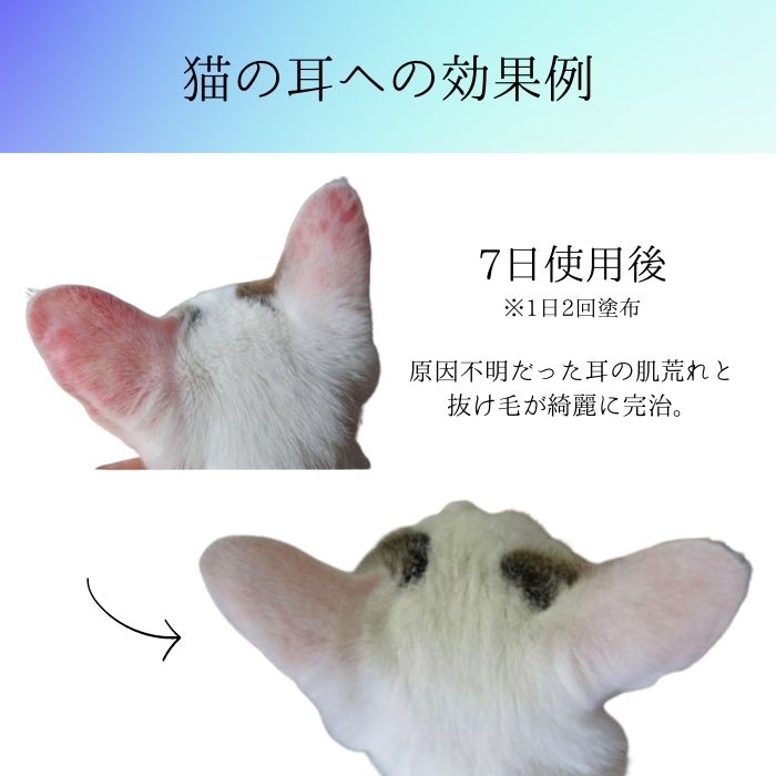 楽天市場】【正規代理店】シルバースペース+ 80g SILVER SPACE+ 痛み