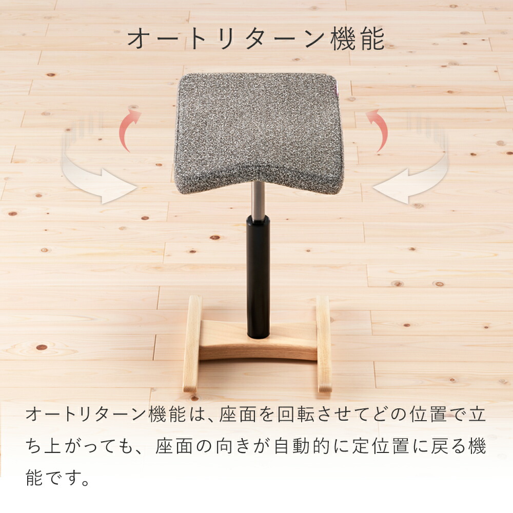 楽天市場】【90日返金保証付】バランス シナジー(組立式) バランスラボ