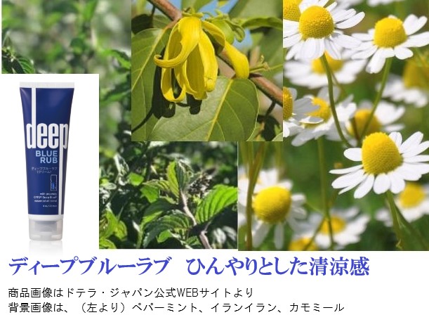 楽天市場】120ml 大 ドテラ ディープブルーラブ クリーム 3本セット