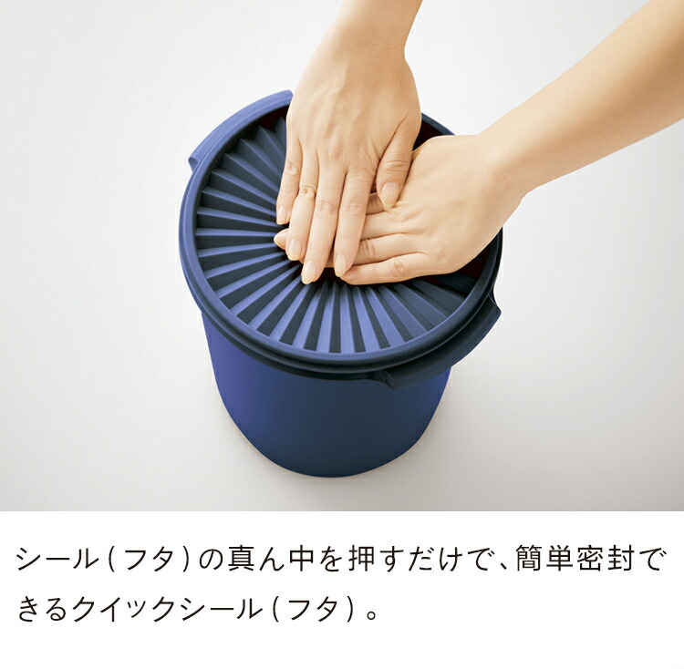 楽天市場】タッパーウェア マキシデコレーター 密封 密封 保存容器