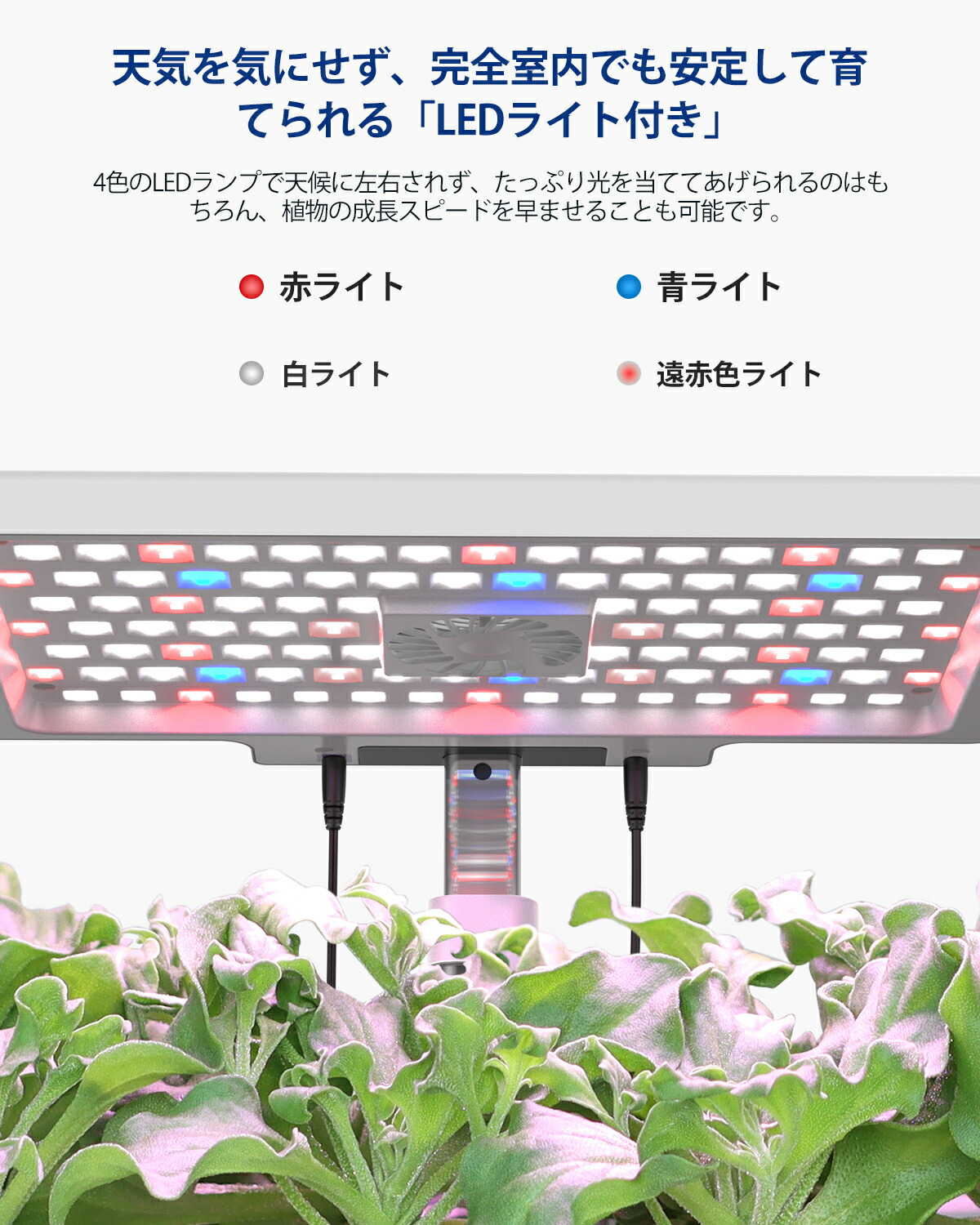 楽天市場】【最大4000OFFクーポン配布中】iDOO 水耕栽培キット 野菜