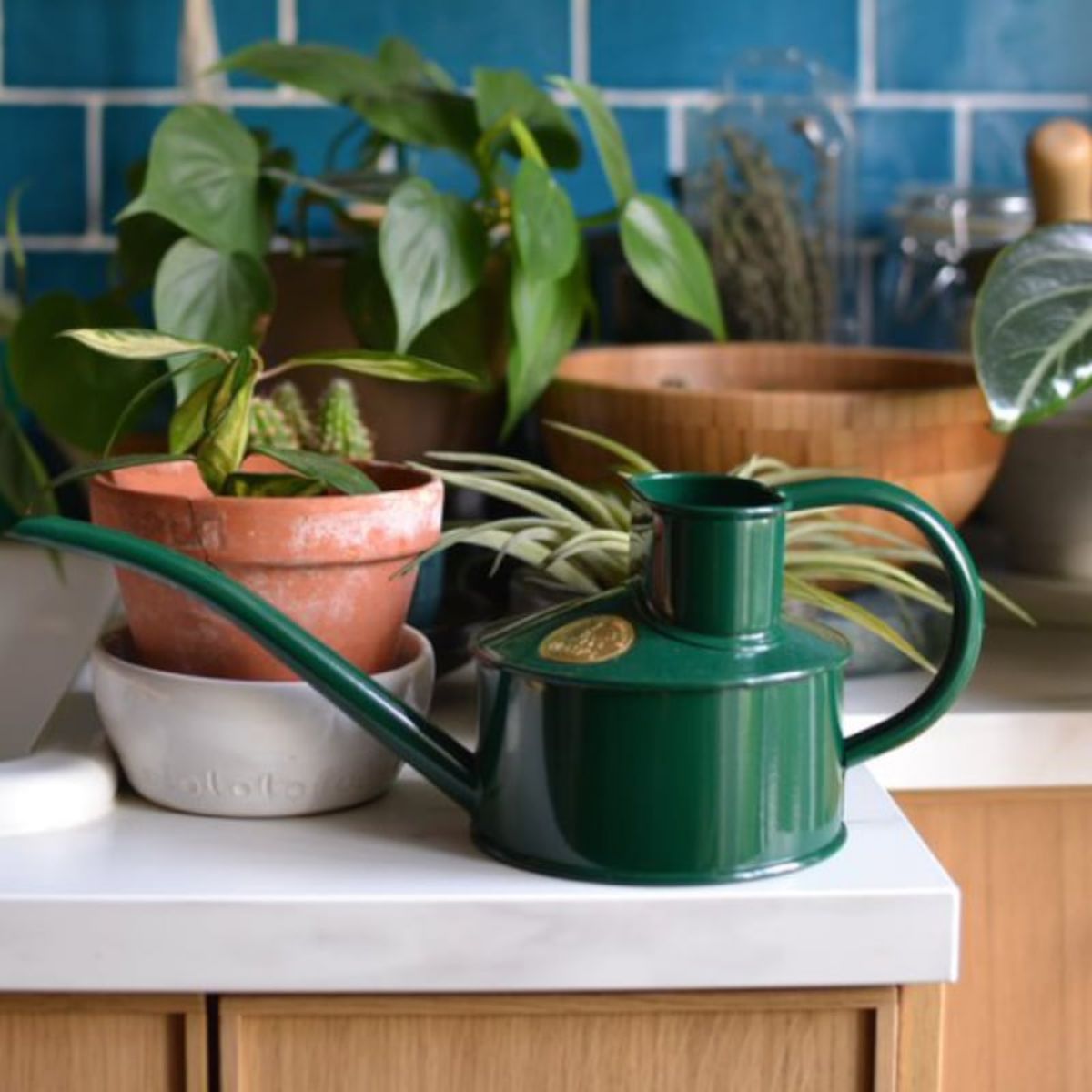 楽天市場】【HAWS ホーズ】Pot Waterer 0.7L 4色 グリーン サルビア