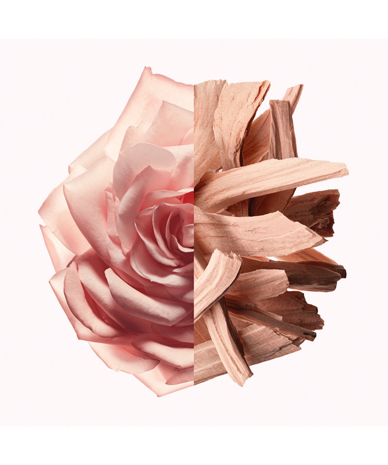 GIVENCHY BEAUTY(ジバンシイ ビューティー)｜【公式】イレジスティブル