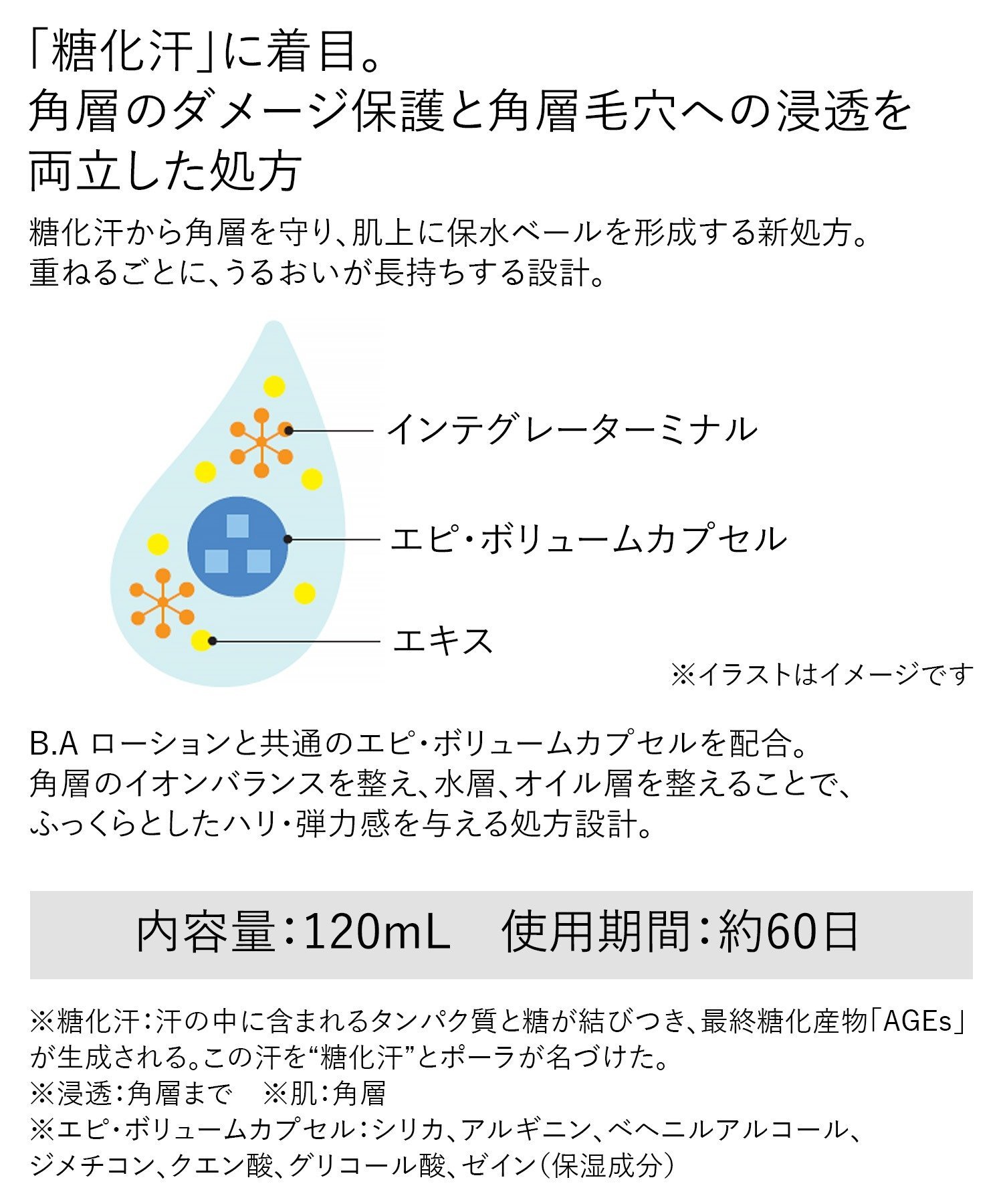 POLA｜【公式】POLA B.A ローション イマース リフィル | Rakuten