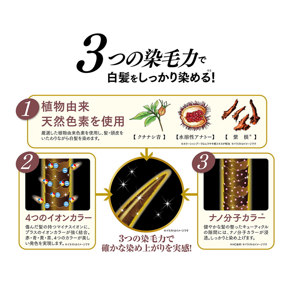 楽天市場】ピュール 利尻カラーシャンプー ブラック 200ml : サン