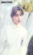 楽天市場】enhypen 儚い（ホビー）の通販